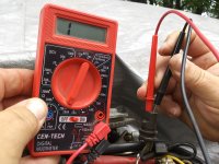 starboard tan green.jpg