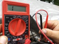 starboard 2 greenish.jpg