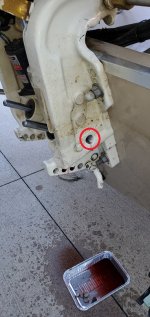 20210717_125643 - Copy.jpg