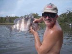 Sheepshead 2009-10-11.jpg