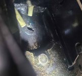 Bravo gear lube tube.jpg