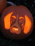 Isabelle Pumpkin.jpg