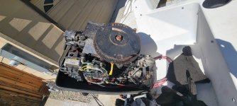 WhatsApp Image 2022-06-01 at 4.06.53 PM.jpeg