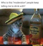 who is moderation.jpg