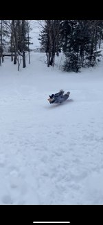 sledding 2021.jpg