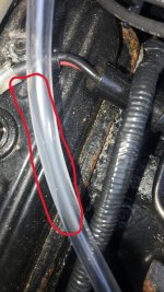 clear hose connected to VSR vent.jpg