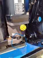 trim screw lower.jpg