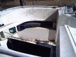downsized_0217001017.jpg