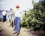 1978 06 (36) Canada Fishing, Bob Brode, Leroy Corbin, Bill Futrell, Dad, Dex, Rod, Art.jpg