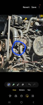Screenshot_20250417_101802_Photo Editor.jpg