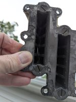 Reeds before 001.jpg