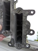 Reeds before 002.jpg