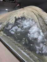 IMG_3903.jpeg IMG_3903.jpeg