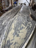 IMG_3911.jpeg IMG_3911.jpeg