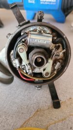 20241124_140410.jpg 20241124_140410.jpg