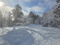 20251201_113543.jpg 20251201_113543.jpg