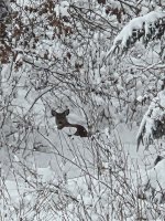 20251202_100705.jpg 20251202_100705.jpg