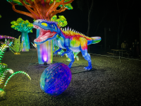 Kaliedasaurus Rex.png Kaliedasaurus Rex.png