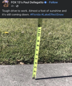 1765799884595.png 1765799884595.png