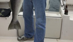 IMG_0489.jpeg IMG_0489.jpeg