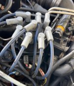 IMG_6934.jpeg IMG_6934.jpeg