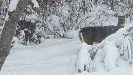 20260103_121059.jpg 20260103_121059.jpg