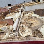 20260126_163234.jpg 20260126_163234.jpg