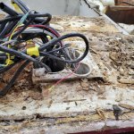 20260126_163428.jpg 20260126_163428.jpg