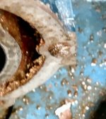 Sportwin Head 09.jpg