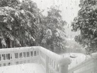 IMG_9182.JPG IMG_9182.JPG