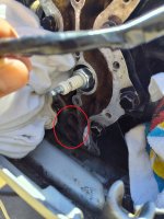 IMG_20260329_125957673_HDR.jpg IMG_20260329_125957673_HDR.jpg