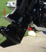 1775331275192.jpeg 1775331275192.jpeg