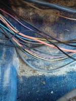 20260412_110810.jpg 20260412_110810.jpg