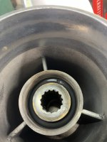 IMG_6545.jpeg