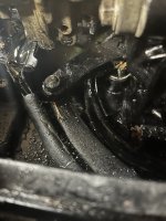IMG_6108 2.JPG