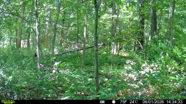 IMG_8152.jpeg