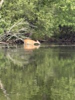 IMG_8156.jpeg