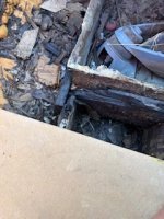 IMG_0276.jpeg