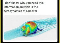1781726028335.png