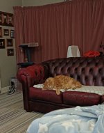 IMG_20260622_201001.jpg