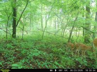 IMG_8205.jpeg