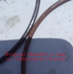 20260626_144721rings.jpg