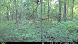 IMG_8302.jpeg IMG_8302.jpeg