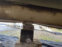 IMG_4417.jpeg