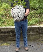 IMG_8316.jpeg IMG_8316.jpeg