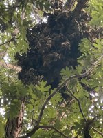 IMG_3283.jpeg