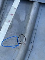 IMG_3635.jpeg