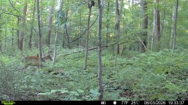 IMG_8369.jpeg