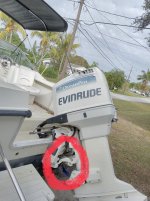 IMG_4259.jpeg IMG_4259.jpeg