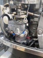 IMG_6389.jpeg